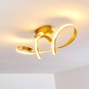 Woyens Plafoniera LED Oro, 1-Luce