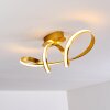 Woyens Plafoniera LED Oro, 1-Luce