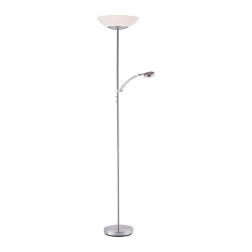 Lampada da terra Paul Neuhaus ALFRED LED Acciaio inox, 1-Luce