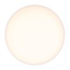 Plafoniera Globo JENNY LED Nichel opaco, 1-Luce