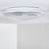 Litto Plafoniera LED Bianco, 1-Luce, Telecomando