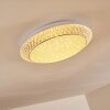 Litto Plafoniera LED Bianco, 1-Luce, Telecomando