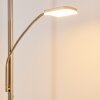 Thyolo Piantana LED Acciaio satinato, 2-Luci