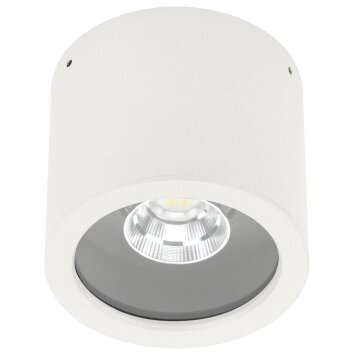 Albert 2319 Plafoniera LED Bianco, 1-Luce