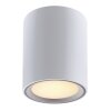 Nordlux FALLON Plafoniera Acciaio inox, 1-Luce