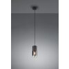 Lampada a Sospensione Trio Leuchten ROBIN Nero, 1-Luce