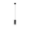 Lampada a Sospensione Trio Leuchten ROBIN Nero, 1-Luce