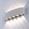 Applique Paul Neuhaus CARLO LED Argento, 10-Luci