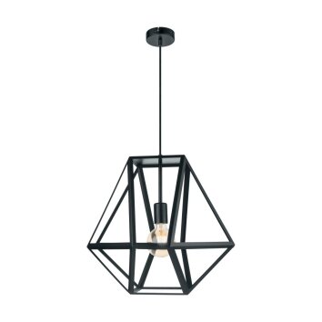 Eglo EMBLETON Lampadario a sospensione Nero, 1-Luce