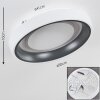 Mackay Plafoniera LED Antracite, Bianco, 1-Luce