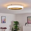 Mackay Plafoniera LED Antracite, Bianco, 1-Luce