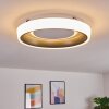 Mackay Plafoniera LED Antracite, Bianco, 1-Luce