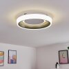 Mackay Plafoniera LED Antracite, Bianco, 1-Luce