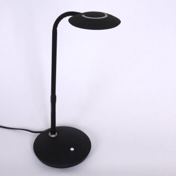 Steinhauer Zenith Lampada da Tavolo LED Nero, 1-Luce