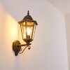 Hongkong Applique per esterno Marrone, Oro, 1-Luce