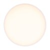 Plafoniera Globo JENNY LED Bianco, 1-Luce