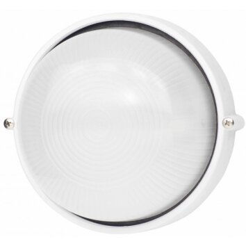 Brilliant Silvester outdoor Wall and Ceiling Light Bianco, 1-Luce