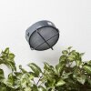 Brilliant Nyx Applique da esterno LED Antracite, 1-Luce