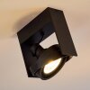 Grytgol Plafoniera Nero, 1-Luce