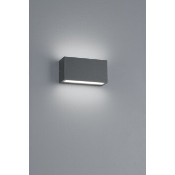 Trio TRENT Applique da esterno LED Antracite, 1-Luce