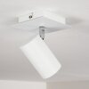 Zuoz Plafoniera Bianco, 1-Luce