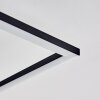 Lithgow Plafoniera LED Nero, 1-Luce