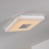 Lumsden Plafoniera LED Grigio, 1-Luce, Telecomando