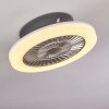 Somalia ventilatore da soffitto LED Argento, Trasparente, chiaro, 1-Luce