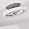 Somalia ventilatore da soffitto LED Argento, Trasparente, chiaro, 1-Luce