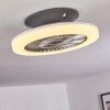 Somalia ventilatore da soffitto LED Argento, Trasparente, chiaro, 1-Luce