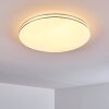 Genthin Plafoniera LED Bianco, 1-Luce, Telecomando