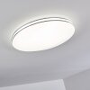 Genthin Plafoniera LED Bianco, 1-Luce, Telecomando