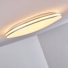 Genthin Plafoniera LED Bianco, 1-Luce, Telecomando