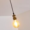 Gunnison Lampadario a sospensione Bronzo, Ottone, Nero, 1-Luce