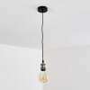 Gunnison Lampadario a sospensione Bronzo, Ottone, Nero, 1-Luce