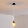 Gunnison Lampadario a sospensione Bronzo, Ottone, Nero, 1-Luce