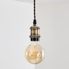 Gunnison Lampadario a sospensione Bronzo, Ottone, Nero, 1-Luce