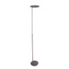 Steinhauer Zenith Lampada da terra LED Acciaio inox, 1-Luce