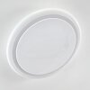 Lowell Plafoniera LED Bianco, 2-Luci, Telecomando, Cambia colore