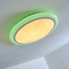 Lowell Plafoniera LED Bianco, 2-Luci, Telecomando, Cambia colore