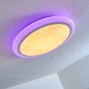 Lowell Plafoniera LED Bianco, 2-Luci, Telecomando, Cambia colore