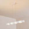 Nagold Lampada a Sospensione LED Bianco, 1-Luce