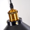 Gudem Lampadario a sospensione Nero-Oro, 1-Luce