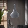 Lampadario a sospensione Alenhoven Grigio, 1-Luce