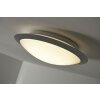 Trio 6265 Plafoniera LED Titanio, Bianco, 1-Luce