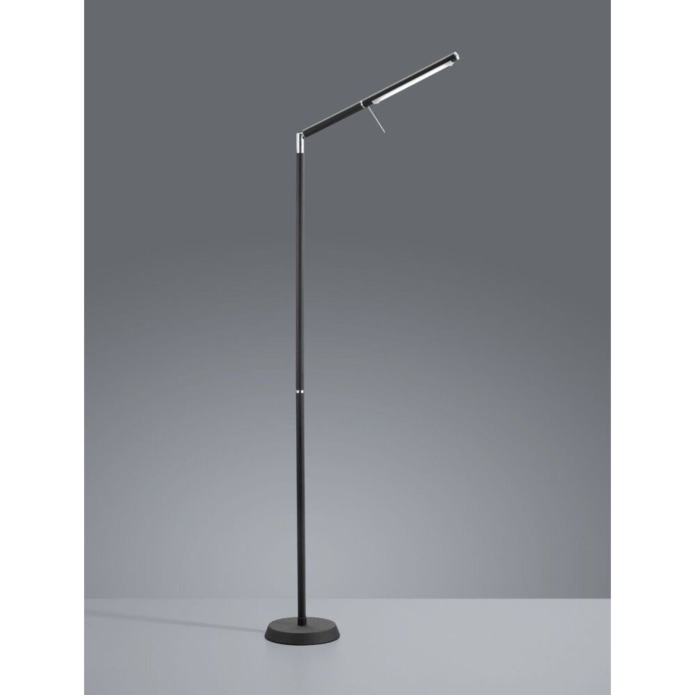 Trio FILIGRAN Lampada da terra LED Nero, 1-Luce main product photo