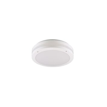 Reality KENDAL Plafoniera da esterno LED Bianco, 1-Luce