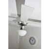 Globo CHAMPION Ventilatore Cromo, Acciaio inox, Bianco, 1-Luce