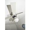 Globo CHAMPION Ventilatore Cromo, Acciaio inox, Bianco, 1-Luce