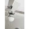 Globo CHAMPION Ventilatore Cromo, Acciaio inox, Bianco, 1-Luce